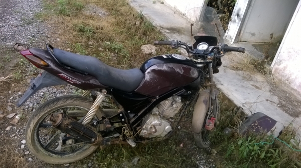 Tiger Victor Gramma RGV Tiger Victor Gramma RGV