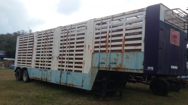 ขายหางเทเลอร์สภาพดี ถูกๆ