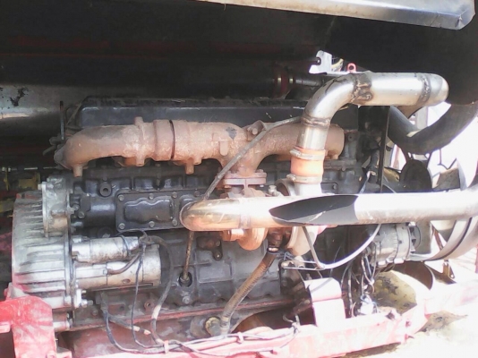 ขายเจ้าช้างไวไฟ ปี 52