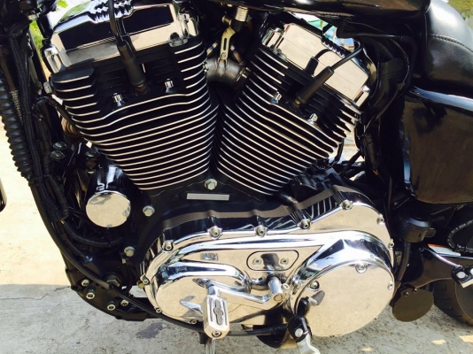 SPORTSTER XL1200L ( หัวฉีด) ทะเบียนแท้ชุดโอนครบ SPORTSTER XL1200L ( หัวฉีด) ทะเบียนแท้ชุดโอนครบ