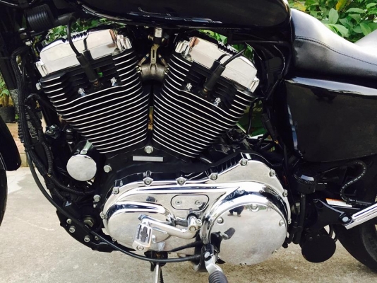 SPORTSTER XL1200L ( หัวฉีด) ทะเบียนแท้ชุดโอนครบ SPORTSTER XL1200L ( หัวฉีด) ทะเบียนแท้ชุดโอนครบ