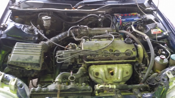 ขาย Honda Civic 4ประตู 49000 ปี 1992 สนใจโทร 0866668500