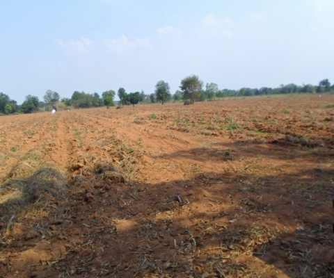 ขายที่ดิน  202 ตรว.  350000