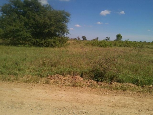 ขายที่ดิน  202 ตรว.  350000