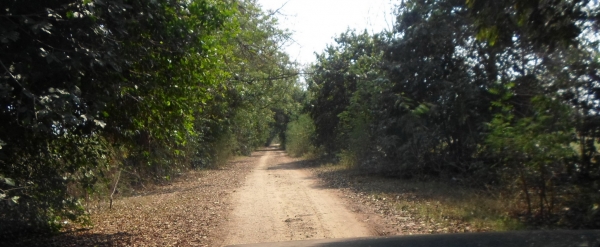 ขายที่ดิน  202 ตรว.  350000