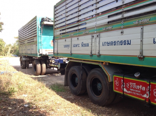 ขายเดก้า 320 ดัมปิเนียมเเม่ลูก สวยๆครับ สนใจติดต่อ 0817796679 แชมป์ ขายเดก้า 320 ดัมปิเนียมเเม่ลูก สวยๆครับ สนใจติดต่อ 0817796679 แชมป์