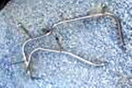 ขายขากระจกฮีโน่เมก้า ขายขากระจกฮีโน่เมก้า