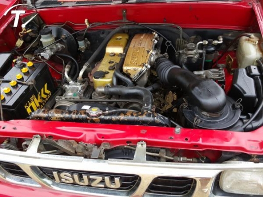 มังกรตอนเดียว พร้อมใช้งาน