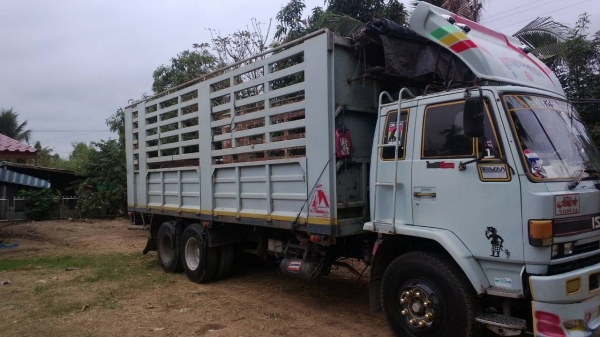 ขายด่วนISUZU195แรงยาว7เมตรสวยมาๆๆๆๆๆๆ