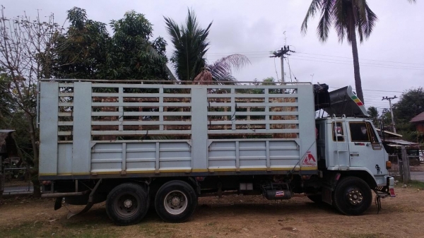 ขายด่วนISUZU195แรงยาว7เมตรสวยมาๆๆๆๆๆๆ