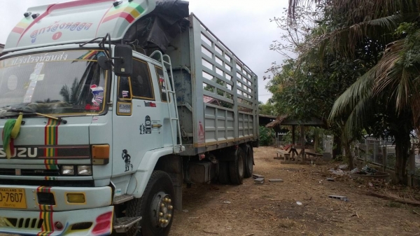 ขายด่วนISUZU195แรงยาว7เมตรสวยมาๆๆๆๆๆๆ