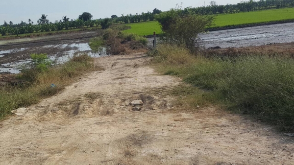 ท่ีนาผักบุ้ง ต. บางแม่นาง อ.บางใหญ่ จ.นนทบุรี เนื้อที่342ตารางวา ราคาประเมินตารางวาล่ะ10000บาท