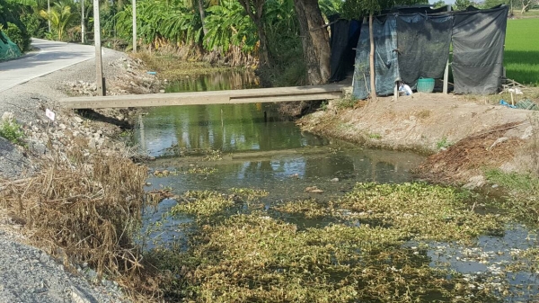 ท่ีนาผักบุ้ง ต. บางแม่นาง อ.บางใหญ่ จ.นนทบุรี เนื้อที่342ตารางวา ราคาประเมินตารางวาล่ะ10000บาท