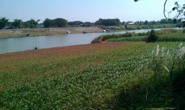 ขายที่ดินพร้อมบ้านวิวสวยติดแม่น้ำเจ้าพระยา จ.อ่างทอง