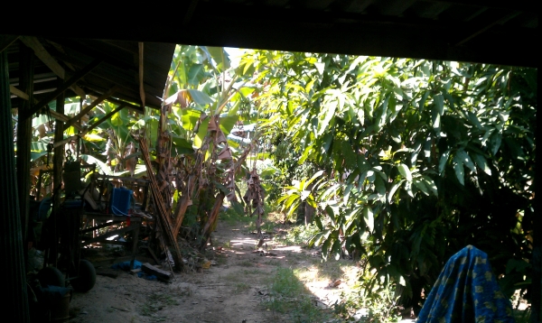 ขายที่ดินพร้อมบ้านวิวสวยติดแม่น้ำเจ้าพระยา จ.อ่างทอง