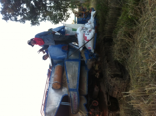 ขาย300000หรือแลกรถไถ คูโบต้า 47แรงหรือ ยันม่า 49และ45แรงหรือรถ6ล้อดั้ม10ส่วนต่างคุยกันได้สนใจลงรูปได้เลยติดต่อคุณแอ๊ด0986288979