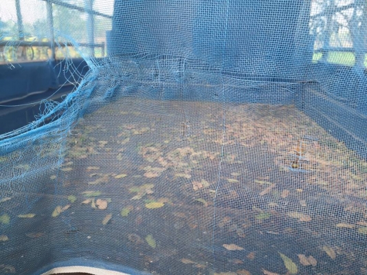 **559,000 บ.ต่อรอง/// 6ล้อดั้มดิน5คิว HINO RANGER FD-165HP รถประกอบ ดั้มต่อใหม่ สวยๆ เล่มทะเบียนครบ **ขาย HINO RANGER FD-165 แรง 6ล้อดั้มดิน5คิว ดั้มต่อใหม่ สภาพสวยพร้อมใช้งาน HINO RANGER FD166B WO6E-165HP เครื่องวางใหม่ เกียร์เดิม ครับ เครื่องแน่น แรง ไม