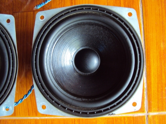 ขายดอกลำโพง ติดรถยนต์ เยอรมัน