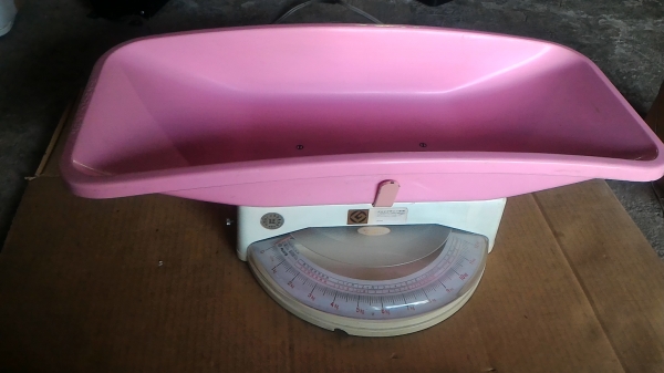 เครื่องชั่งน้ำหนักเด็กทกรกจากญี่ปุ่น แบบนอนชั่ง สามารถชั่งได้ถึง 12 กก. น้ำหนักขึ้นที่ละ 50 ก.