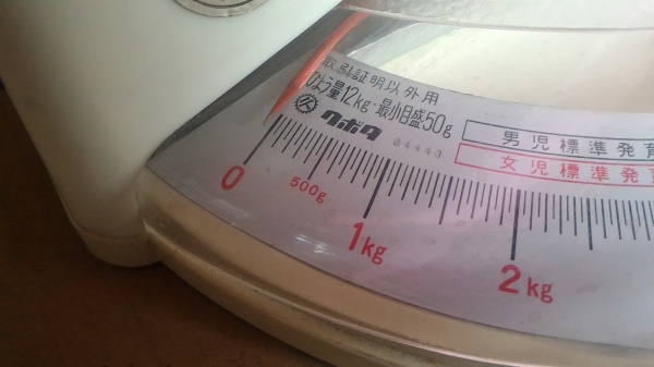 เครื่องชั่งน้ำหนักเด็กทกรกจากญี่ปุ่น แบบนอนชั่ง สามารถชั่งได้ถึง 12 กก. น้ำหนักขึ้นที่ละ 50 ก.