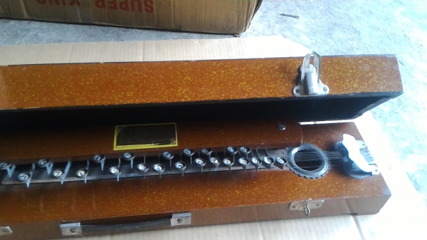 เครื่องดนตรีจากญี่ปุ่นการเล่นคล้ายๆกีต้าแต่กดโน๊ตง่ายกว่า ตัวนี้มี 10 สาย