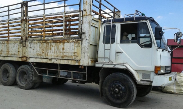 สิบล้อ มิตซู ไอ้หลง FN516M 6D16-195 เพาเดียว ช่วงยาว7ม สภาพเดิมๆสวยพร้อมใช้งาน เล่มทะเบียนพร้อมโอน สิบล้อ มิตซู ไอ้หลง FN516M 6D16-195 เพาเดียว ช่วงยาว7ม สภาพเดิมๆสวยพร้อมใช้งาน เล่มทะเบียนพร้อมโอน