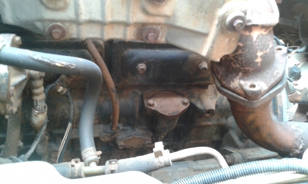 ขาย 6 ล้อ isuzu npr เครื่อง 4BD1ฝาดำ รถห้างแท้ๆ(คุณพิทักษ์ โพธิ์จันทร์ จากอุดรธานี มารับรถกลับบ้านไปวิ่งงานทำเงินแล้ว)) (ดาวน์ 128000ออกรถได้เลย)เฟืองท้าย F ยาง8.25 เครื่องแน่นๆ แห้ง แรงดีสุดๆ แซสซีเยี่ยมๆ ไม่ผุไม่ดาม รถสวยๆพร้อมใช้งานได้เลย พร้อมโอนทั่วไ