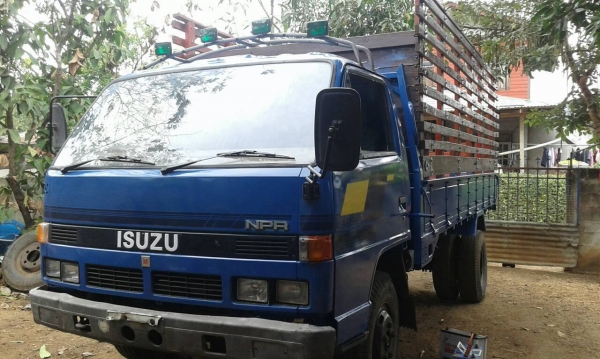 ขาย 6 ล้อ isuzu npr เครื่อง 4BD1ฝาดำ รถห้างแท้ๆ(คุณพิทักษ์ โพธิ์จันทร์ จากอุดรธานี มารับรถกลับบ้านไปวิ่งงานทำเงินแล้ว)) (ดาวน์ 128000ออกรถได้เลย)เฟืองท้าย F ยาง8.25 เครื่องแน่นๆ แห้ง แรงดีสุดๆ แซสซีเยี่ยมๆ ไม่ผุไม่ดาม รถสวยๆพร้อมใช้งานได้เลย พร้อมโอนทั่วไ