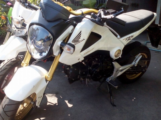 ขาย HONDA MSX 125 ปี 57 เครื่องดีเดิมๆ สภาพภายนอกมีรอยเล็กหลายจุด เล่มพร้อมโอน ขาย HONDA MSX 125 ปี 57 เครื่องดีเดิมๆ สภาพภายนอกมีรอยเล็กหลายจุด เล่มพร้อมโอน