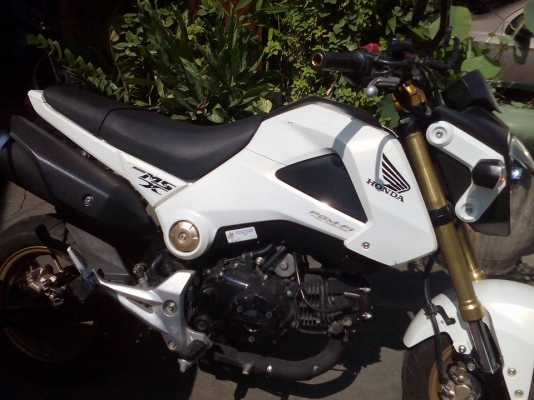 ขาย HONDA MSX 125 ปี 57 เครื่องดีเดิมๆ สภาพภายนอกมีรอยเล็กหลายจุด เล่มพร้อมโอน