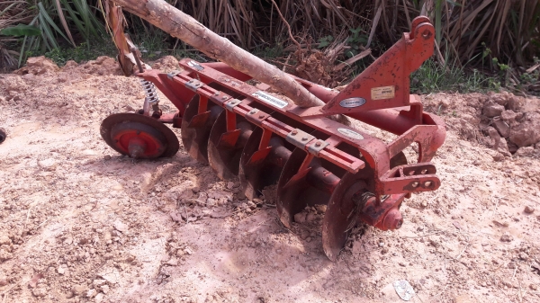 ผาน5&times;20"ตราช้างสวยๆใบเต็ม