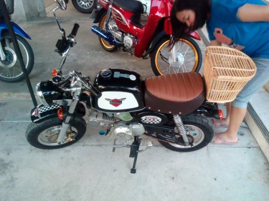 หาคนดูแลต่อรถกอลิล่าน้อย