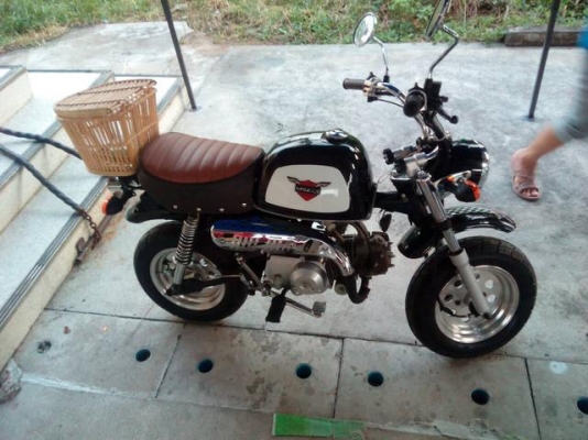 หาคนดูแลต่อรถกอลิล่าน้อย