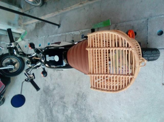 หาคนดูแลต่อรถกอลิล่าน้อย