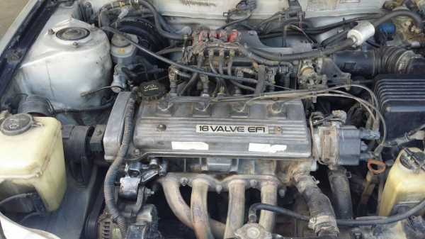 ขายของดีให้ครับ