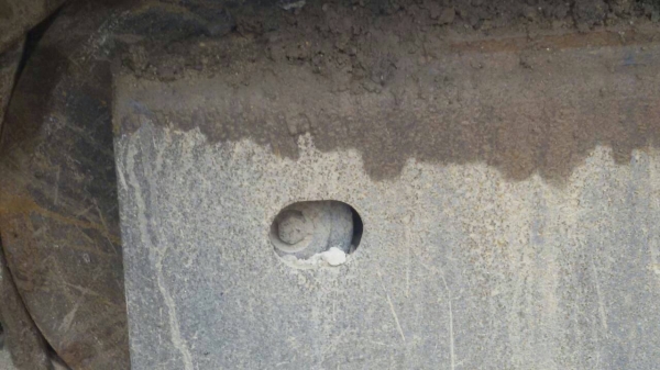 ขายรถแบคโฮ KOMATSU PC200-8 เอกสารใบแจ้งจำหน่าย ราคา 1600000