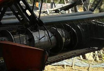 รถเกี่ยวนวดข้าวแบบอุ้ม KUBOTA DC-95 GM Plus ปี55 1,5xx ชม. พร้อมเทเลอร์ลากจูงแบบ2เพลา เล่มทะเบียนครบ **ขาย KUBOTA DC-95GM Plus ปี55 รถเกี่ยวนวดข้าวแบบอุ้ม1.4ตัน เดิมบาง ใช้งานน้อย พร้อมเทเลอร์ลากจูง เล่มทะเบียนครบ พร้อมลุยงาน KUBOTA รถเกี่ยวนวดข้าวแบบอุ้ม KUBOTA DC-95 GM Plus ปี55 1,5xx ชม. พร้อมเทเลอร์ลากจูงแบบ2เพลา เล่มทะเบียนครบ **ขาย KUBOTA DC-95GM Plus ปี55 รถเกี่ยวนวดข้าวแบบอุ้ม1.4ตัน เดิมบาง ใช้งานน้อย พร้อมเทเลอร์ลากจูง เล่มทะเบียนครบ พร้อมลุยงาน KUBOTA