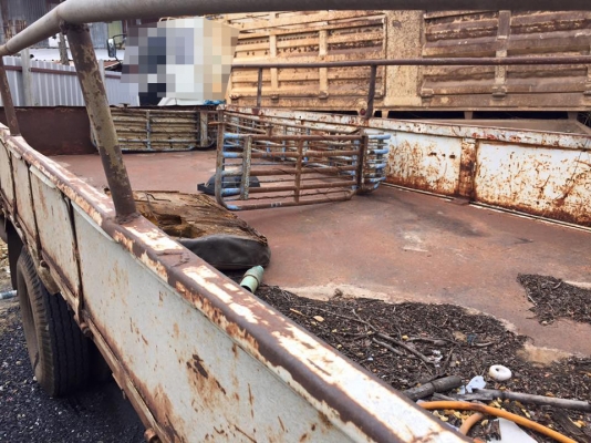 .ต่อรอง/// อะไหล่/ซาก 6ล้อ ISUZU NKR-110 รถห้างแท้ เครื่อง4BA1-85HP ช่วงล่างเดิม ตามสภาพ เล่มทะเบียน ภาษีเต็ม **ขาย ตัด อะไหล่/ซาก ISUZU NKR-110 เครื่อง85แรง 6ล้อบรรทุก สภาพจอด อะไหล่ครบ ขาดไดสตาร์ทอย่างเดียว ตามสภาพ เล่มทะเบียน ภาษีเต็ม ISUZU .ต่อรอง/// อะไหล่/ซาก 6ล้อ ISUZU NKR-110 รถห้างแท้ เครื่อง4BA1-85HP ช่วงล่างเดิม ตามสภาพ เล่มทะเบียน ภาษีเต็ม **ขาย ตัด อะไหล่/ซาก ISUZU NKR-110 เครื่อง85แรง 6ล้อบรรทุก สภาพจอด อะไหล่ครบ ขาดไดสตาร์ทอย่างเดียว ตามสภาพ เล่มทะเบียน ภาษีเต็ม ISUZU