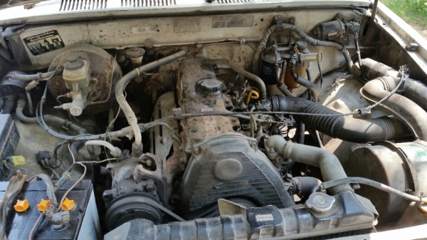 ไมตี้หัวเดียว ดีเซล ขับกลับ พร้อมโอน ขาย 48,000 บาท ไมตี้หัวเดียว ดีเซล ขับกลับ พร้อมโอน ขาย 48,000 บาท