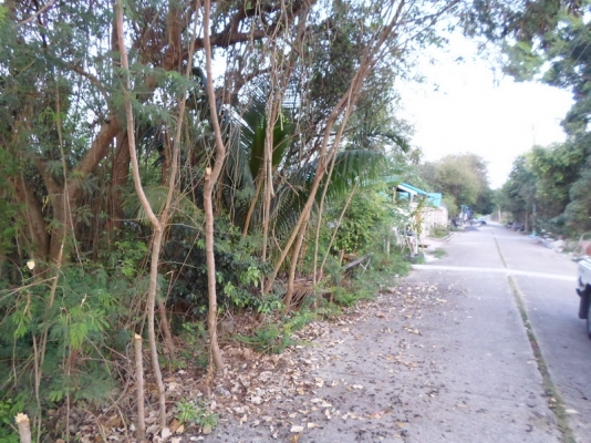 @@@ ขายที่ดินเปล่า หนองจอก ถนนคู้คลองสิบ กรุงเทพฯ @@@