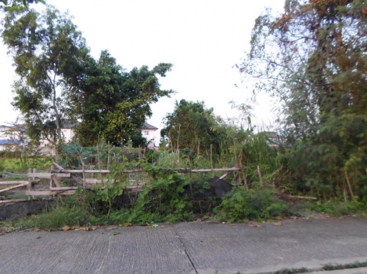 @@@ ขายที่ดินเปล่า หนองจอก ถนนคู้คลองสิบ กรุงเทพฯ @@@