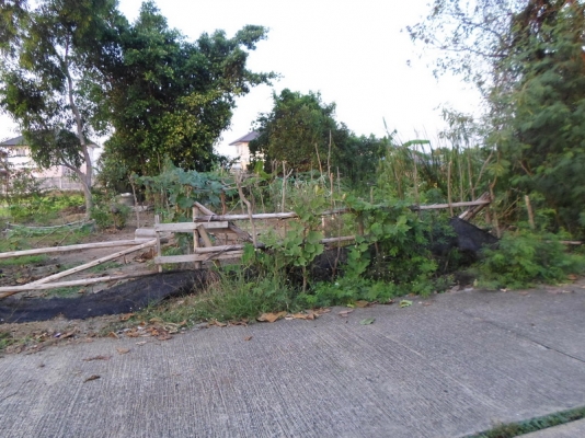 @@@ ขายที่ดินเปล่า หนองจอก ถนนคู้คลองสิบ กรุงเทพฯ @@@