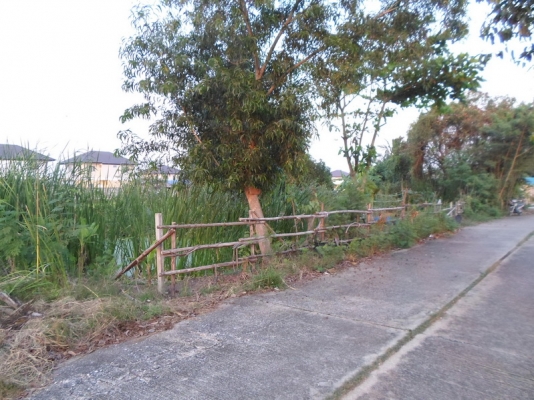 @@@ ขายที่ดินเปล่า หนองจอก ถนนคู้คลองสิบ กรุงเทพฯ @@@