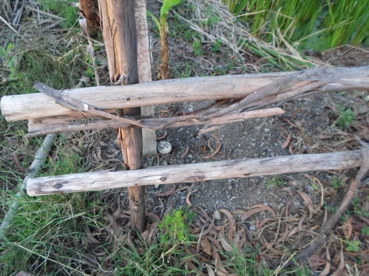 @@@ ขายที่ดินเปล่า หนองจอก ถนนคู้คลองสิบ กรุงเทพฯ @@@