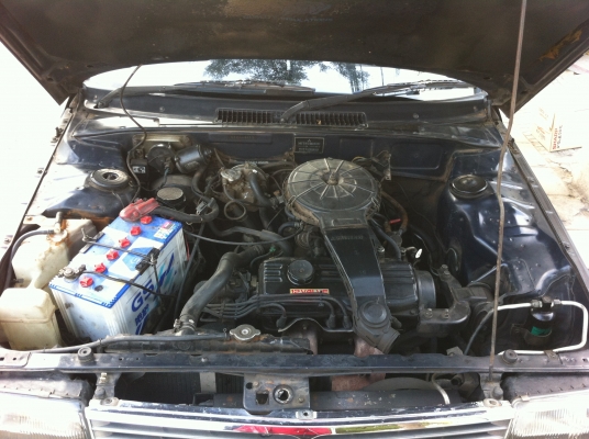 มิสซูมิชิแชมส์ มิสซูมิชิแชมส์