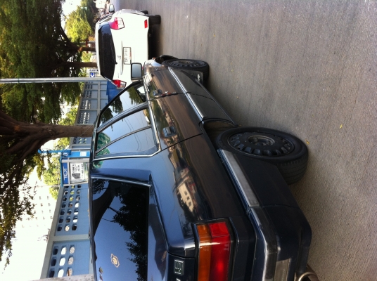 มิสซูมิชิแชมส์ มิสซูมิชิแชมส์