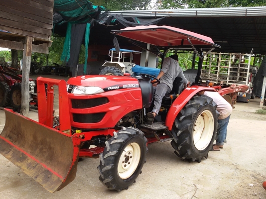 หาชื้อรถไถยันม่าร์393T เชิณมาหาเราครับ มีไบมีด1อันและผาน3ทีเอ็มชี1อันสวยๆเดิมๆ พร้อมทะเบียนขายใน  ราคา295000บาท รถอยู่วังบัว คลองขลุง กำแพงเพชร    สนใจสอบุถามได้ที่081 3655997 อำพร  พาเจริญ  ราคาต่อรองได้อีกนะครับ