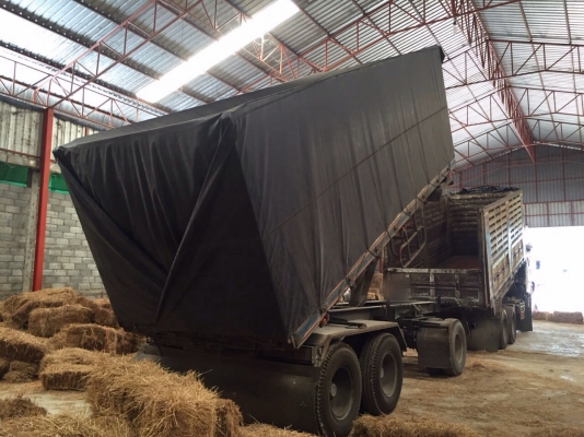 ขายรถ22ล้อดั้มพ์ HINO FM1ANLD เครื่อง 344แรงม้ากับหาง ST ปี52 สนใจโทร 081-970-1072 ขายรถ22ล้อดั้มพ์ HINO FM1ANLD เครื่อง 344แรงม้ากับหาง ST ปี52 สนใจโทร 081-970-1072