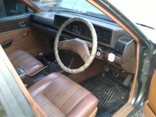 นิสสันบลูเบริด