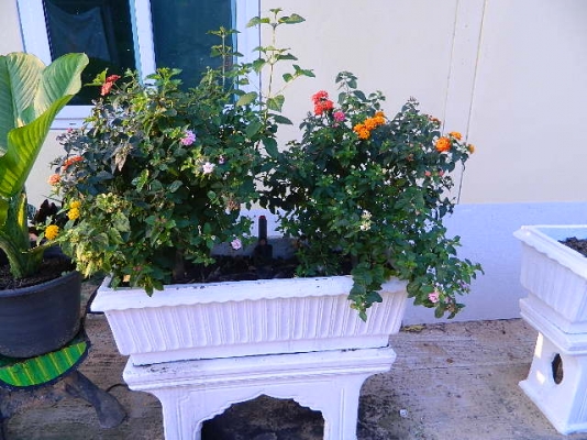 ISUZU TFR lสวยทั้งภายในภายนอกครับ CD พวงมาลัยเพาเวอร์ แต่สะอาด โหลดพอสวยครับ ISUZU TFR lสวยทั้งภายในภายนอกครับ CD พวงมาลัยเพาเวอร์ แต่สะอาด โหลดพอสวยครับ